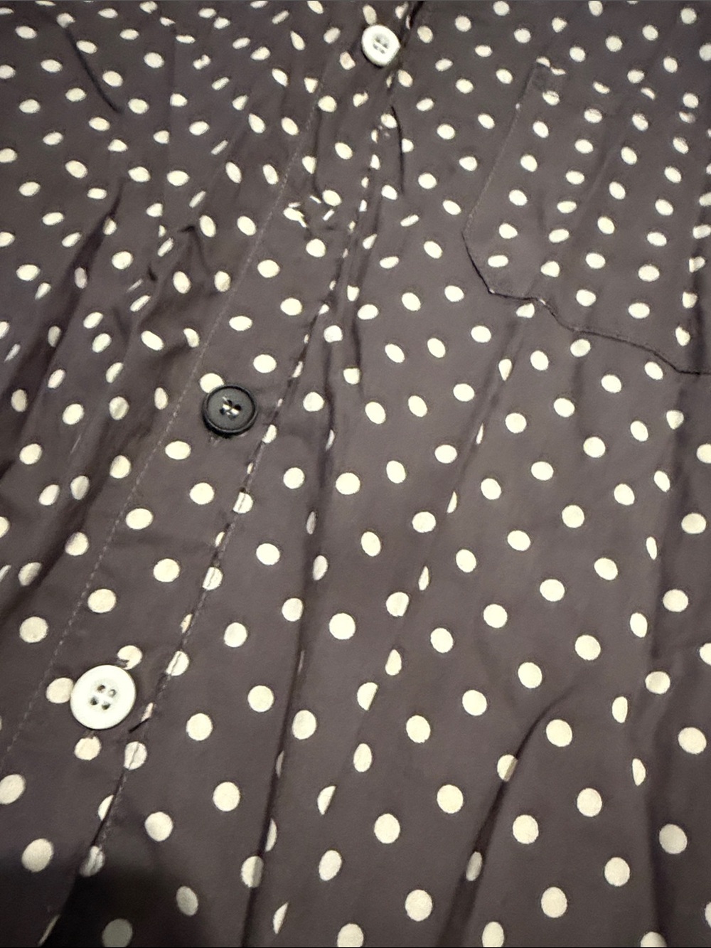 Jaded Gypsy Brown Polka Dot Button-Down Shirt - Picture 3 of 3